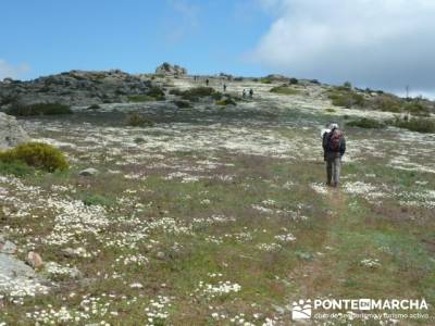 Ruta de Senderismo - Altos del Hontanar; el tranco la pedriza; la garganta del cares